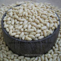 Hot Sale Blanched Peanut Kernels From Shandong China